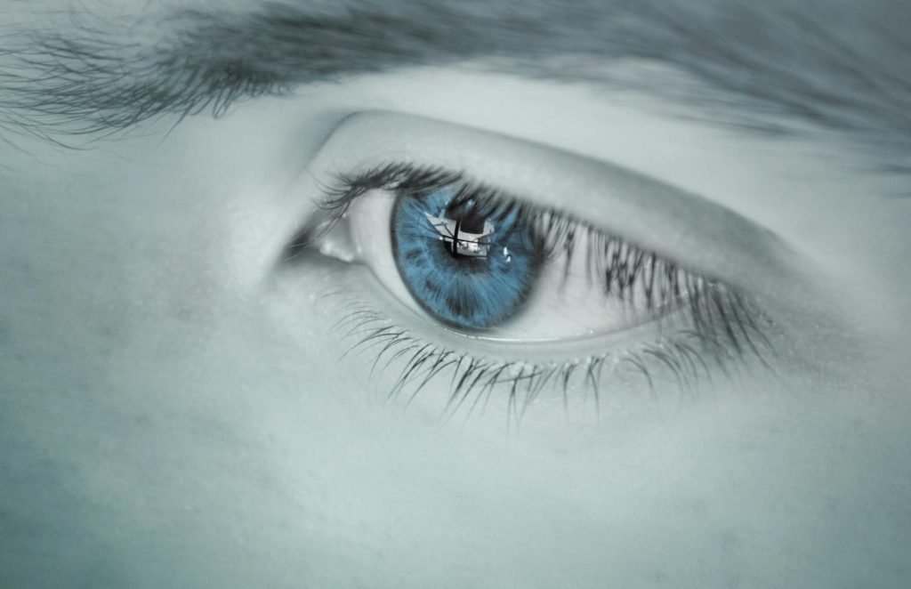 The Eyes Have&nbsp;It