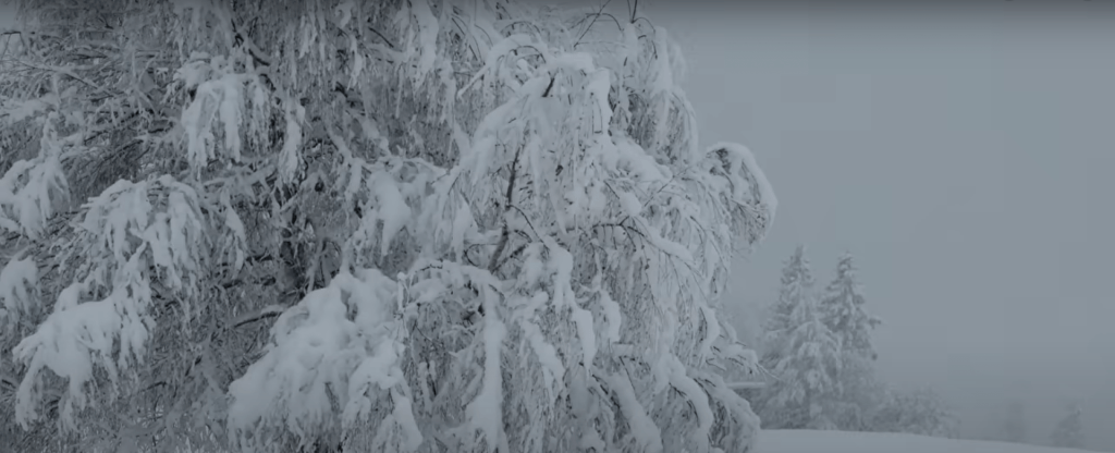 [Premium] A Lucky Xmas&nbsp;Break