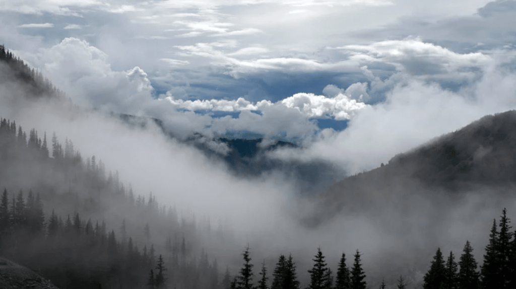 Our Most Dominant&nbsp;Thought