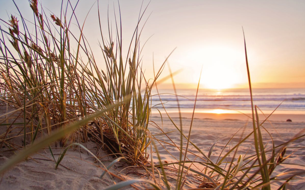 [Premium] Eggstra Eggs For&nbsp;Breakfast