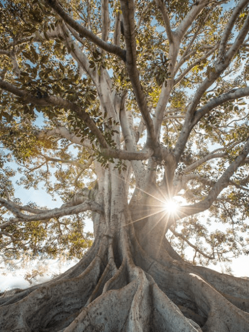 God Is Your&nbsp;Servant