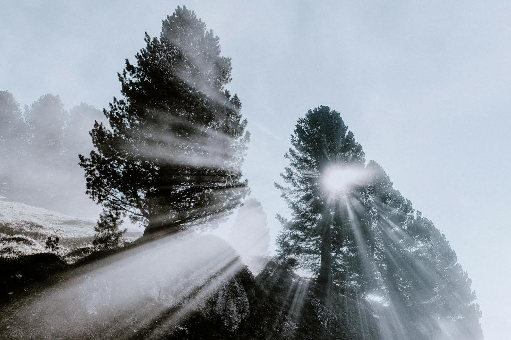 Attracting At Lightening&nbsp;Speed