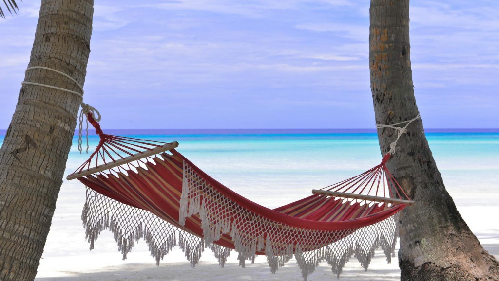 Dreams Really Do Come&nbsp;True