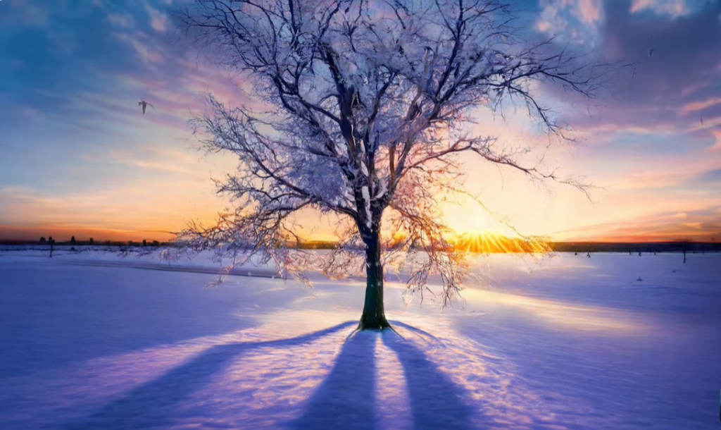 My Spiritual Awakening