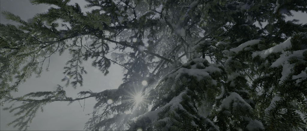 Christmas Every Day!