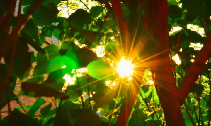 Make The Sun&nbsp;Shine