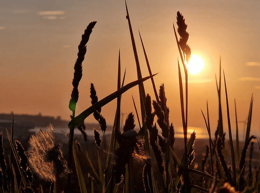 A Prayer Of&nbsp;Gratitude