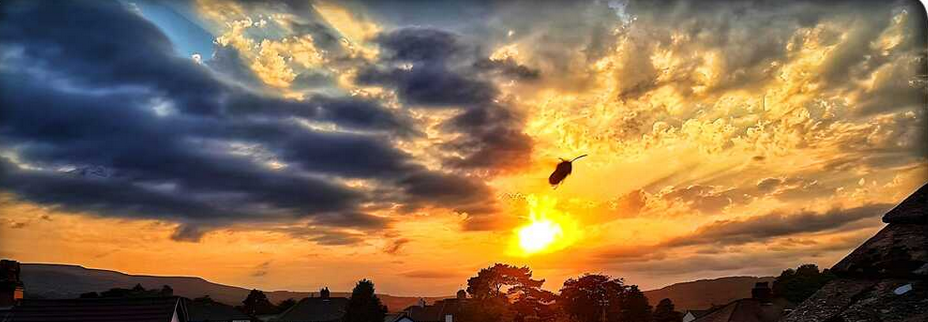 [Premium] Rightingz Ze&nbsp;Wrongz