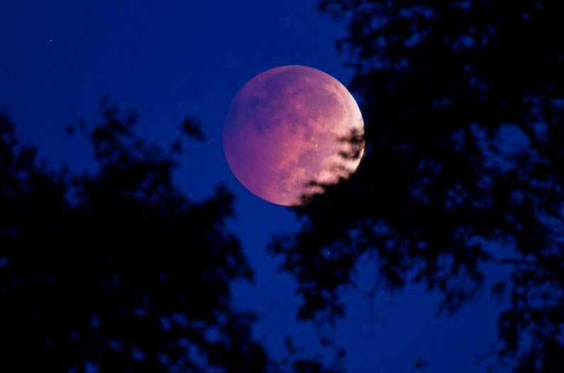 The Stars In Our&nbsp;DNA