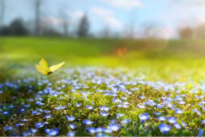 Happy Creates Happy!