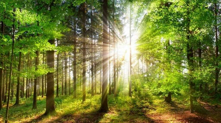 [Premium] Make The&nbsp;Change