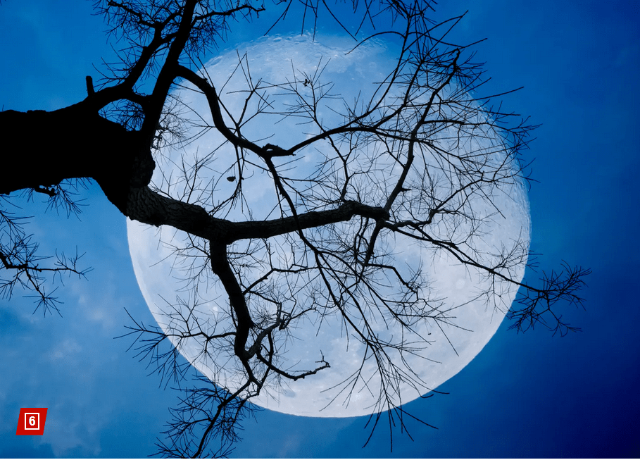 [Premium] Hunter Moon