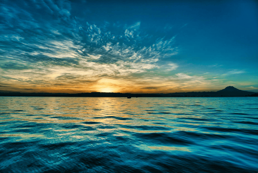 What We Sea